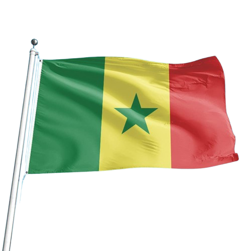 Drapeau aux couleurs du Sénégal – Image 2