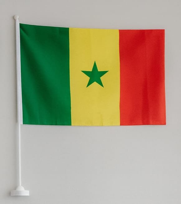 Drapeau aux couleurs du Sénégal – Image 3